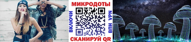 где продают наркотики гидра вход Псилоцибиновые грибы Psilocybe Кинель