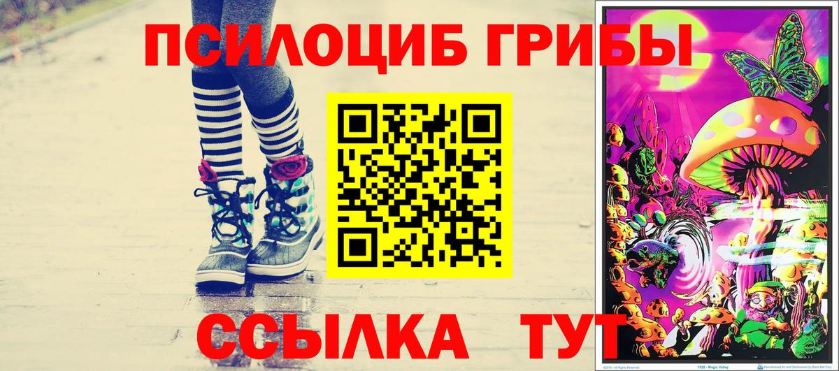 Галлюциногенные грибы MAGIC MUSHROOMS Кинель