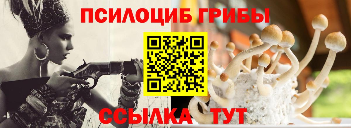 как найти закладки  Псилоцибиновые грибы Psilocybine cubensis  Вход с VPN  Кинель 
