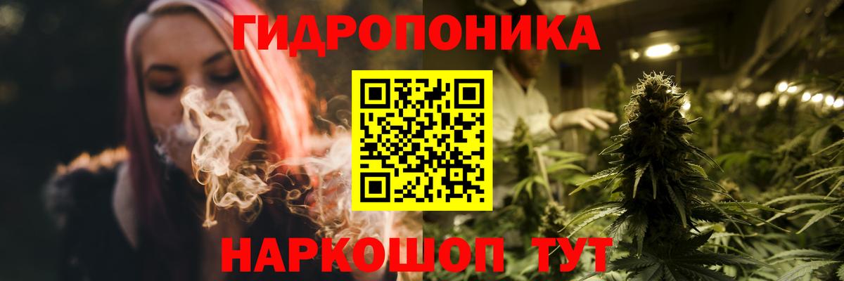 Бошки Шишки конопля  МАРИХУАНА сатива  Вход с VPN  Бошки марихуана марихуана  Каннабис планчик  Кинель 